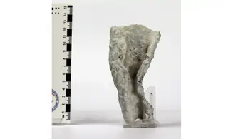 Propachastrella primaeva