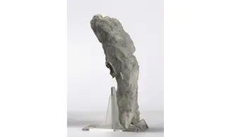 Propachastrella primaeva