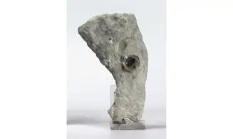 Propachastrella primaeva
