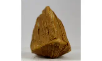 Roudairia Intermedia