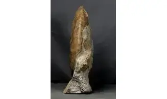 Gleviceras lotharingium