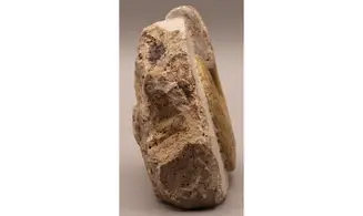 Sublunuloceras virguloides