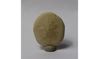Peronella ova