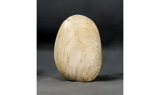 Huge clam