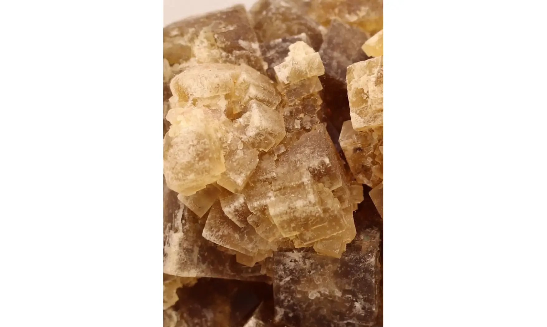 Fluorine fluorite + Barytine