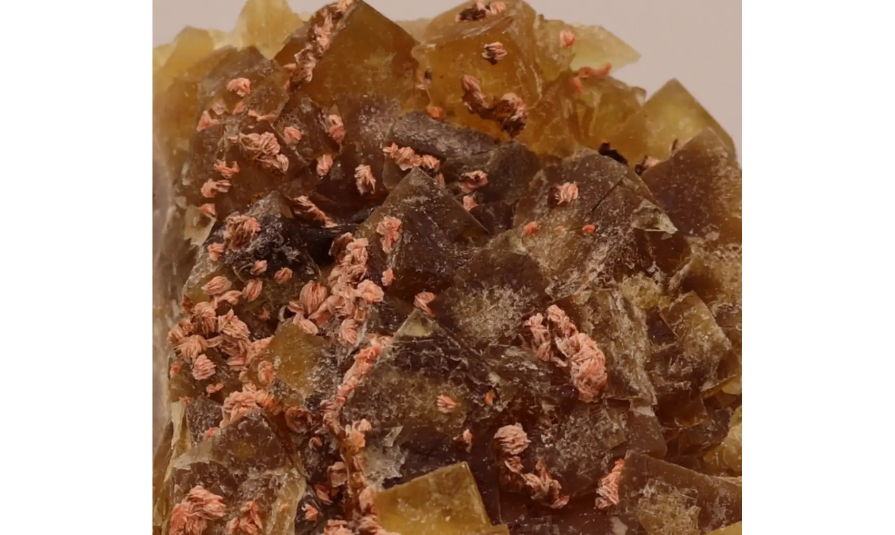 Fluorine fluorite + Barytine