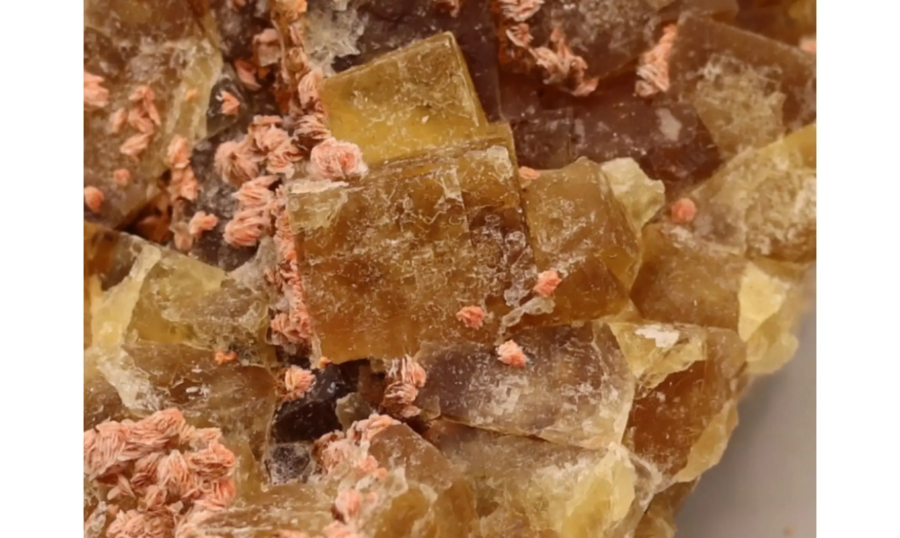 Fluorine fluorite + Barytine