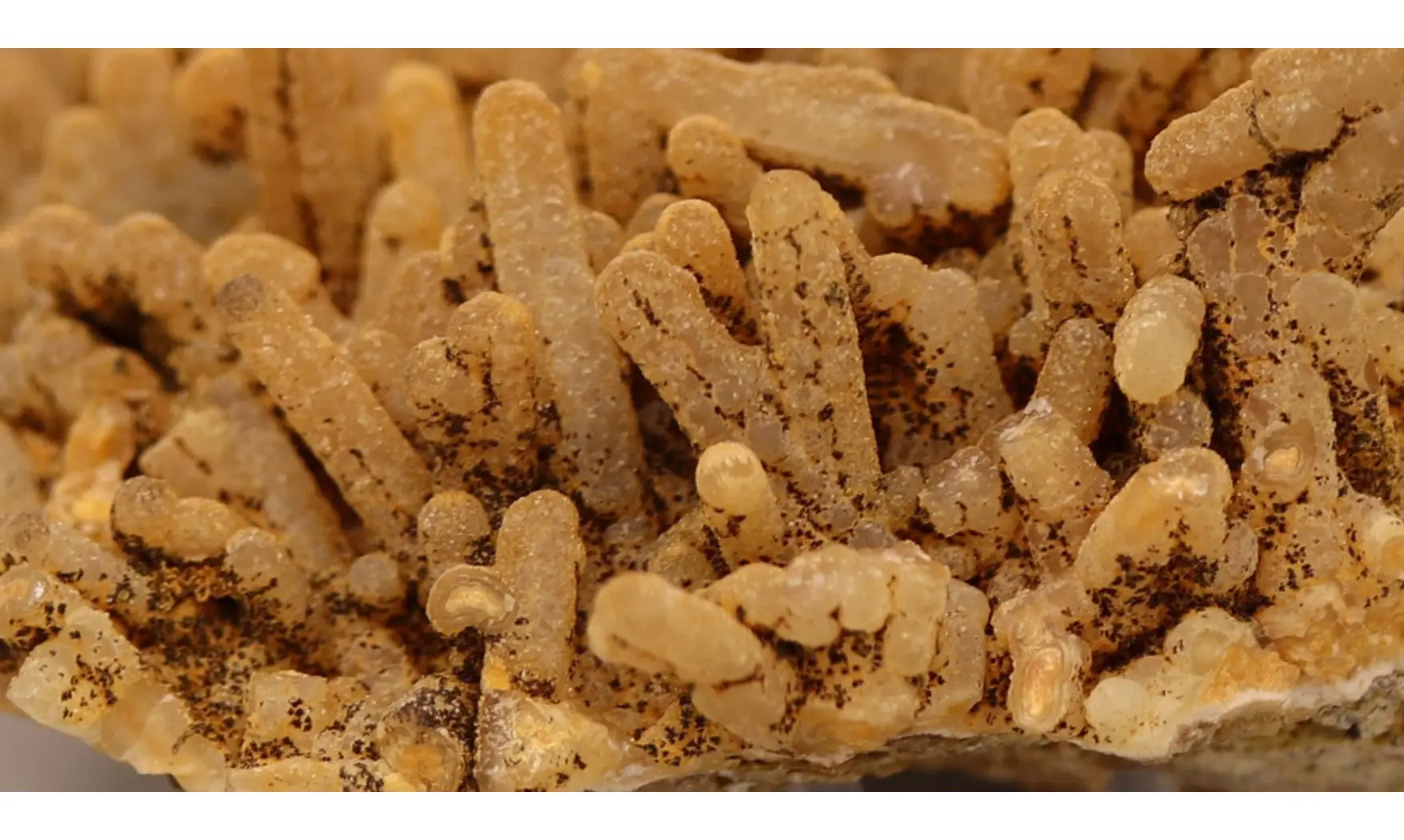 Aragonite