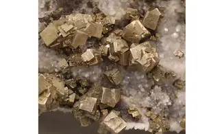 Pyrite sur quartz