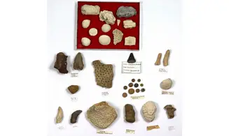 Lot éponges