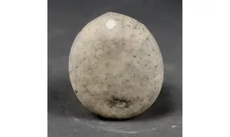Echinocorys conica ( Agassiz)