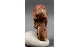 Pronorites postcarbonarius