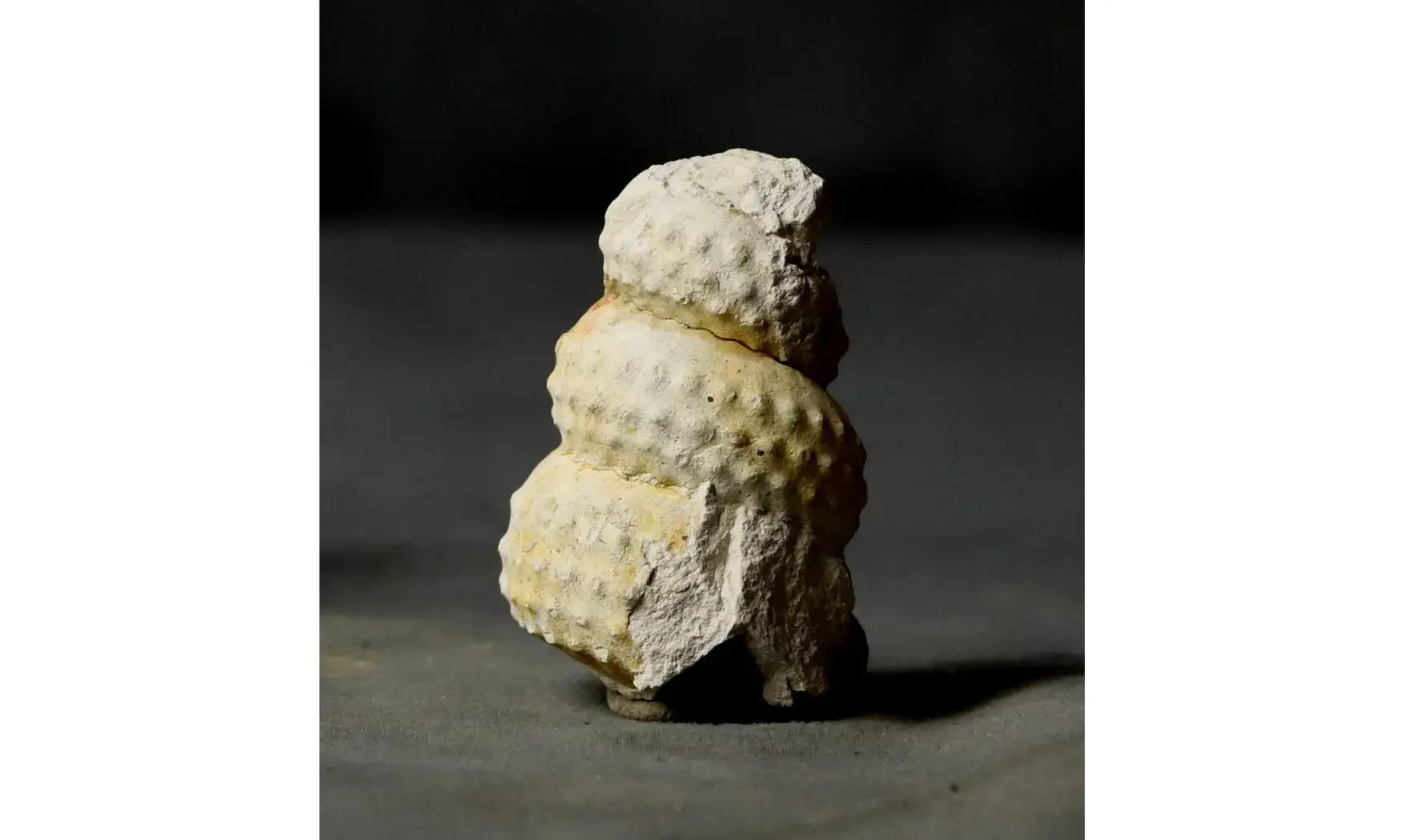 Mariella cenomanensis