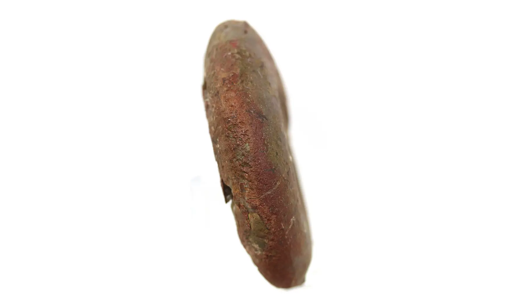 Lunupharciceras serpentinum
