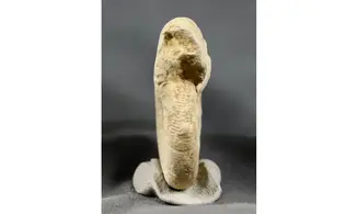 Subdiscosphinctes kreutzi