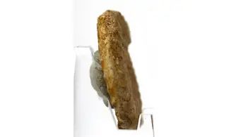 Acanthopleuroceras valdani