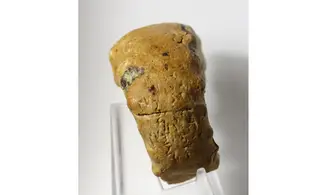 Euaspidoceras hyselum