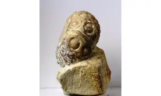 Cidaris subvesiculosa