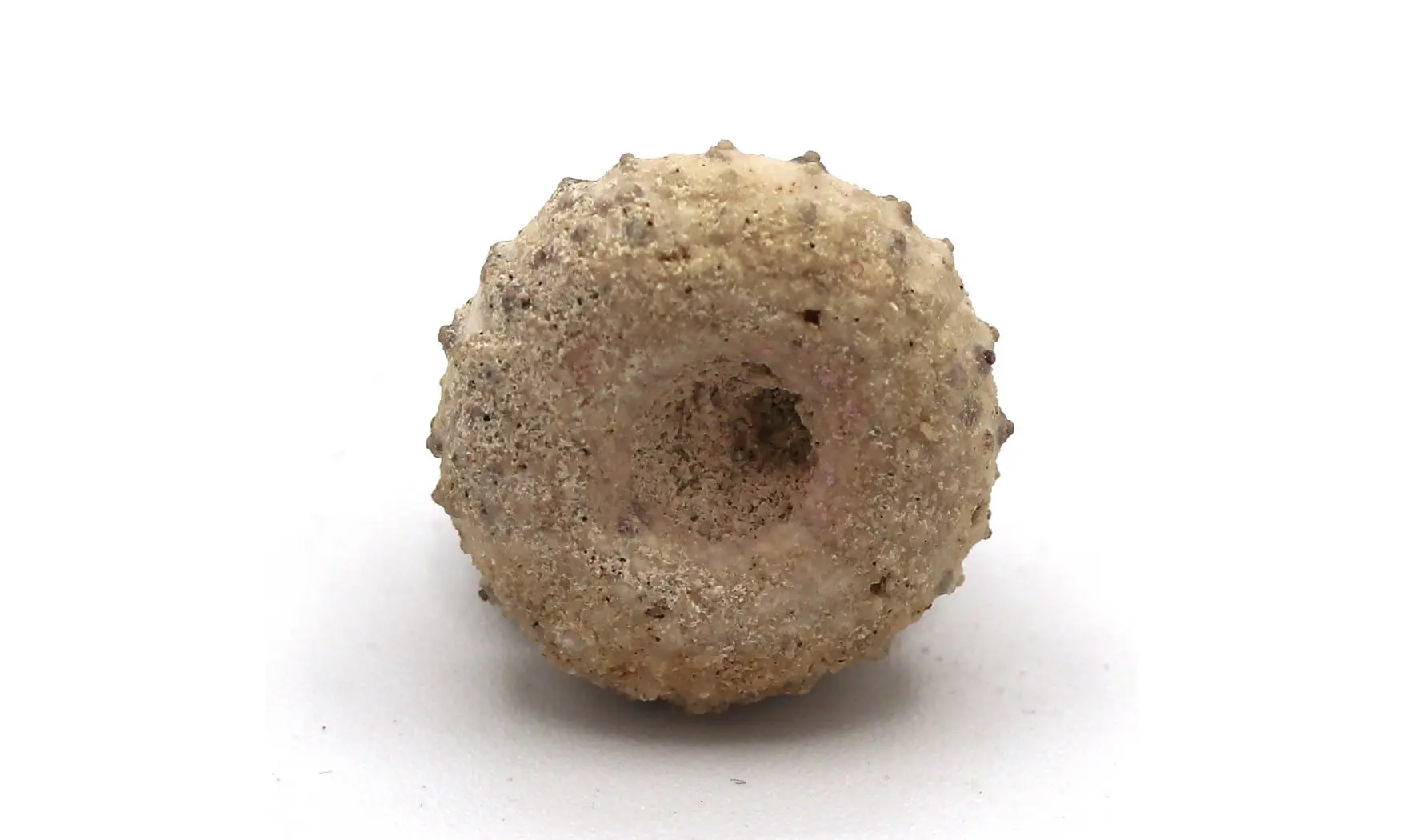 Tetragramma variolare