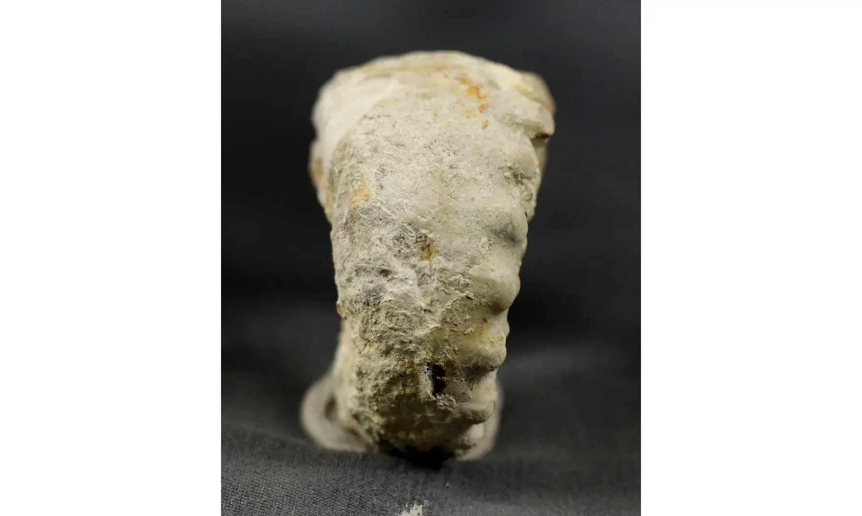 Euaspidoceras hyselum