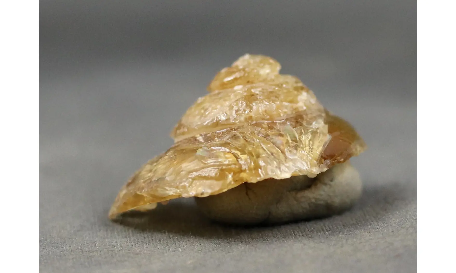 Fossile en calcite
