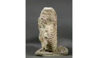 Garantiana