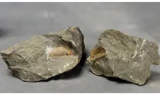 Nahecaris Franklin