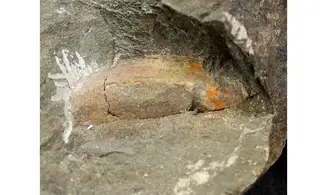 Nahecaris Franklin