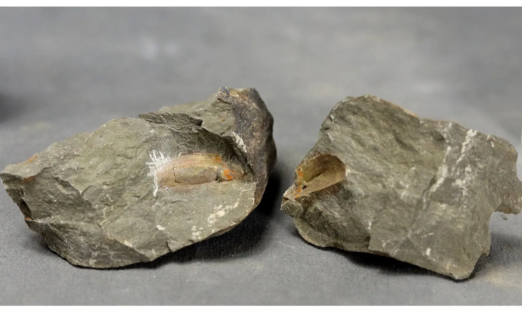 Nahecaris Franklin
