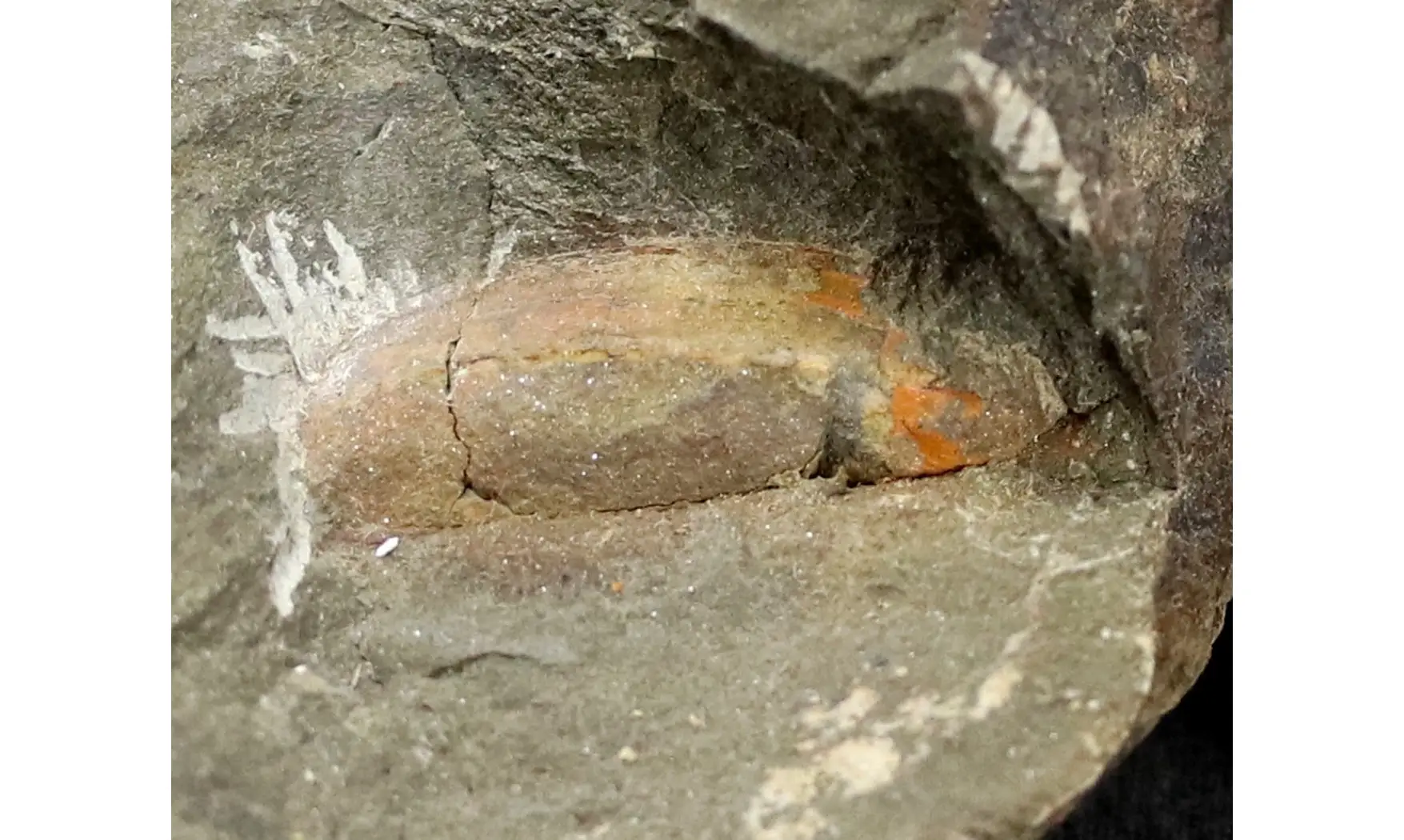 Nahecaris Franklin