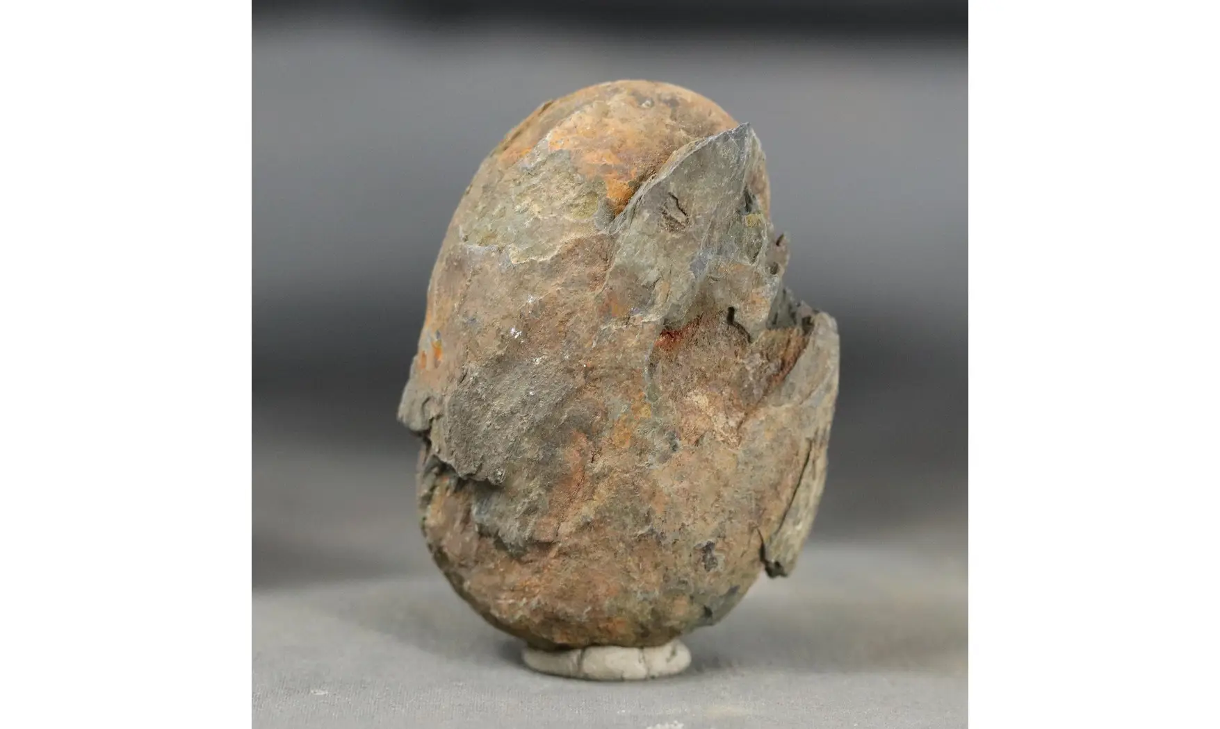 Bellerophon