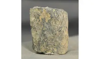 Tomaculum problematicum