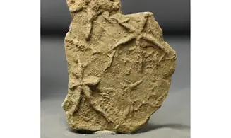 Asteriacites