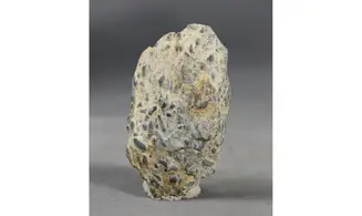 Tomaculum problematicum