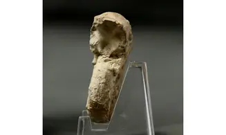 Euaspidoceras perarmatum