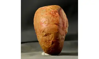 Paracenoceras