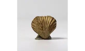 Isjuminella thierachensis