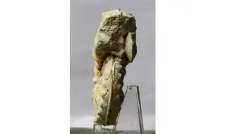 Gauthiericeras margae
