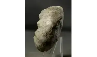 Orthaspidoceras lallierianum
