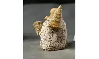 Pyrgotrochus elongatus et faune associée
