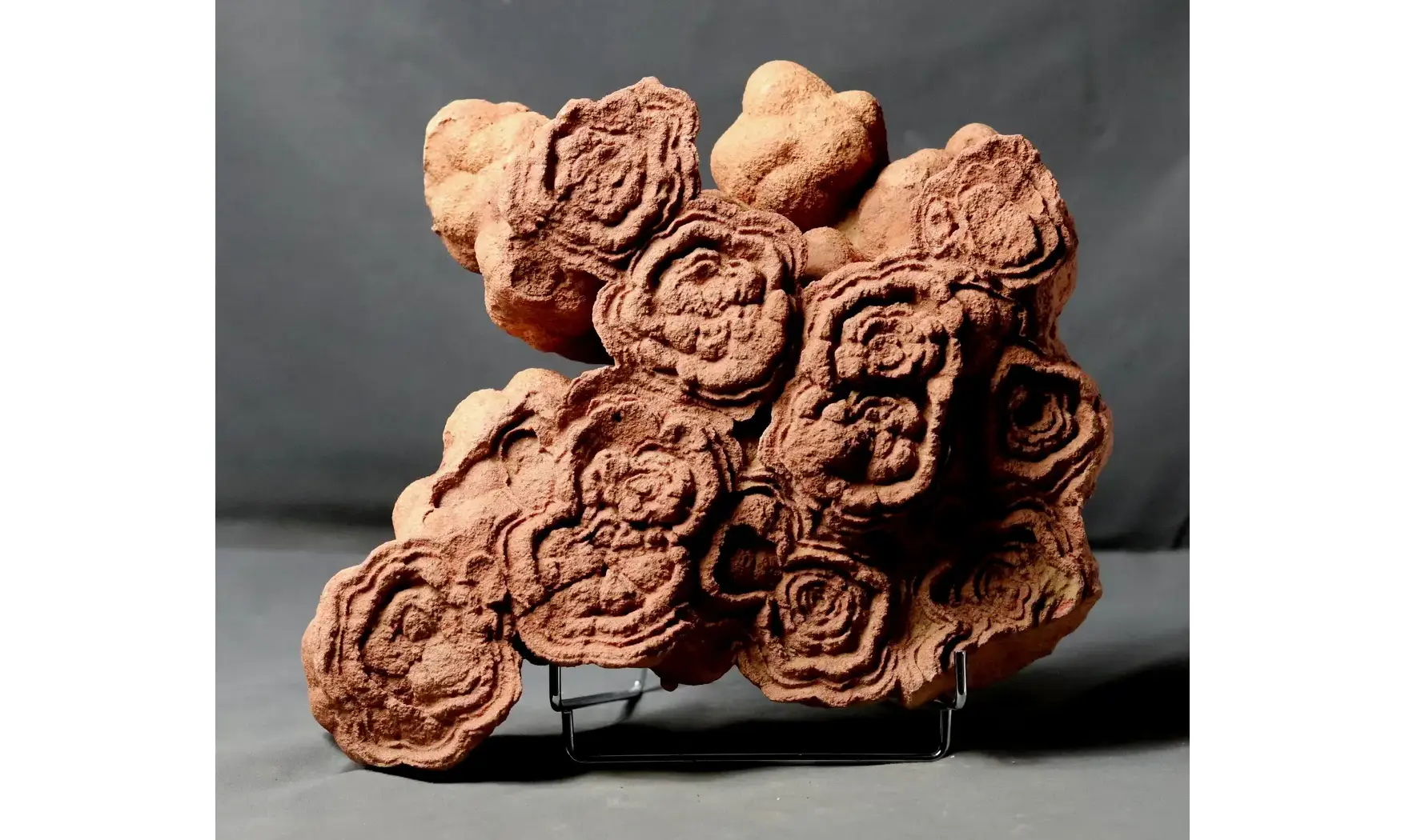 Stromatolite