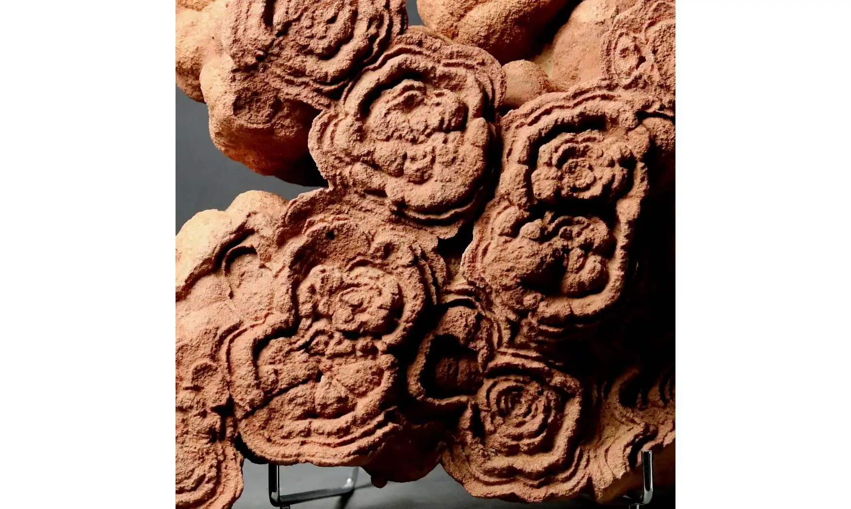 Stromatolite