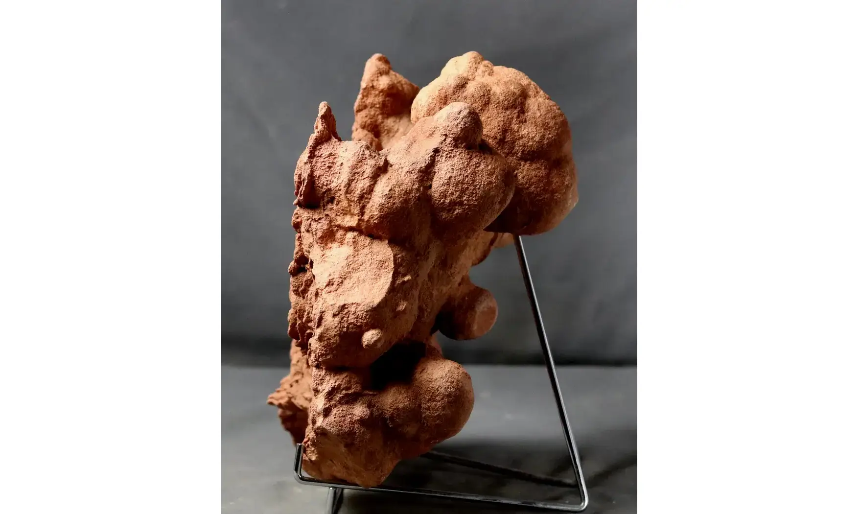 Stromatolite