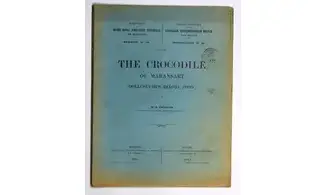 The crocodile of Maransart