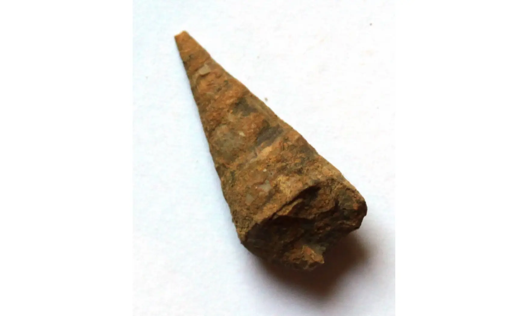 MEEKOSPIRA CHOCTAWENSIS