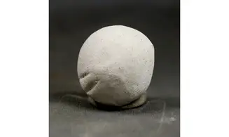 Porosphaera