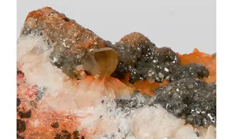 3d Cerusite on colored barytine